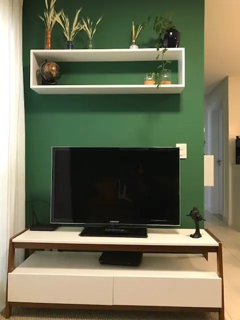 Apartamento Ingleses: o rack novo, a TV e a prateleira com as plantas na parede verde