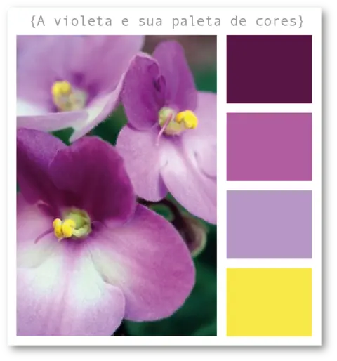 Ilustração 7 do post: Círculo das Cores